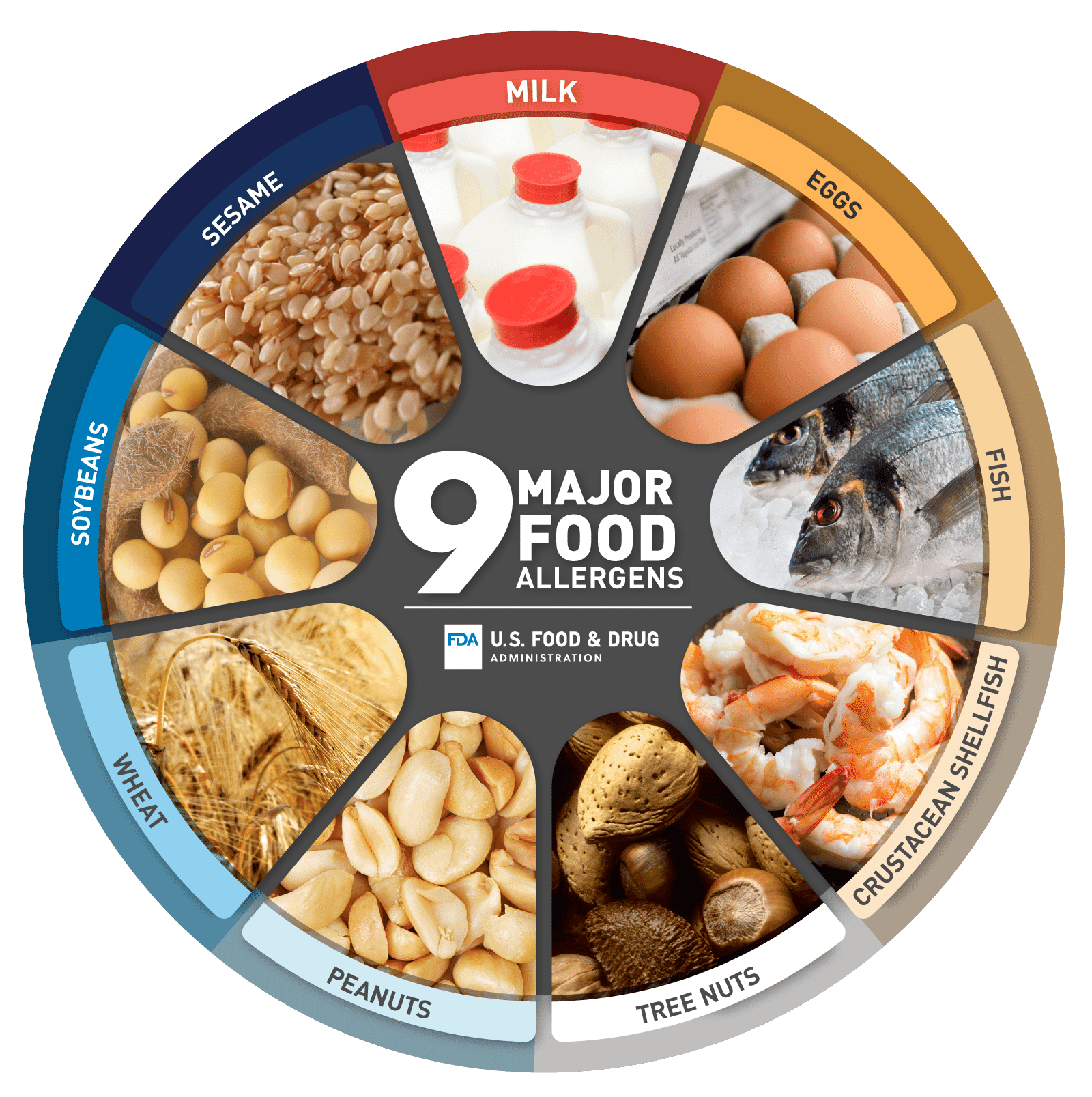 Nine major food allergens